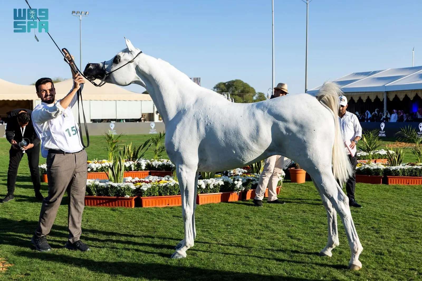 انطلاق منافسات العرض الدولي السابع لجمال الخيل العربية الأصيلة في الرياض