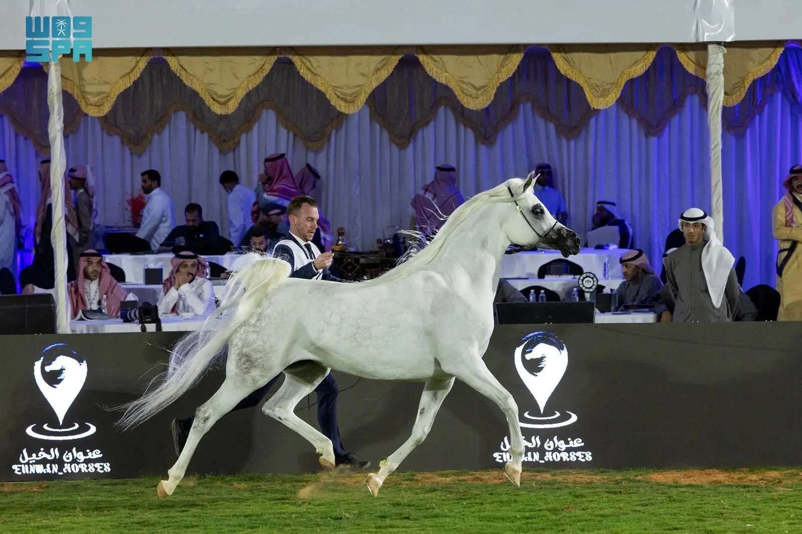 انطلاق منافسات العرض الدولي السابع لجمال الخيل العربية الأصيلة في الرياض