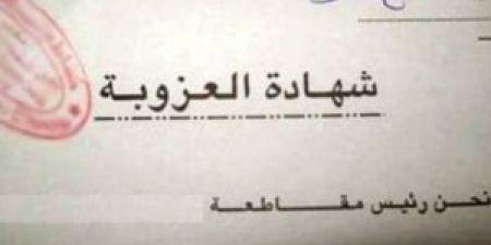 إدانة موظف بتارودانت بسبب شهادة عزوبة مزورة. - الخبر اليمني