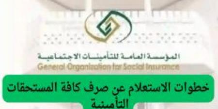 كيفية الاستعلام عن صرف المستحقات التأمينية بعد الاستقالة: خطوات وشروط - الخبر اليمني