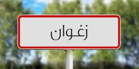 زغوان: المصادقة على 30 عملية استثمار فلاحي (المدير الجهوي لوكالة النهوض بالاستثمارات الفلاحية) - الخبر اليمني