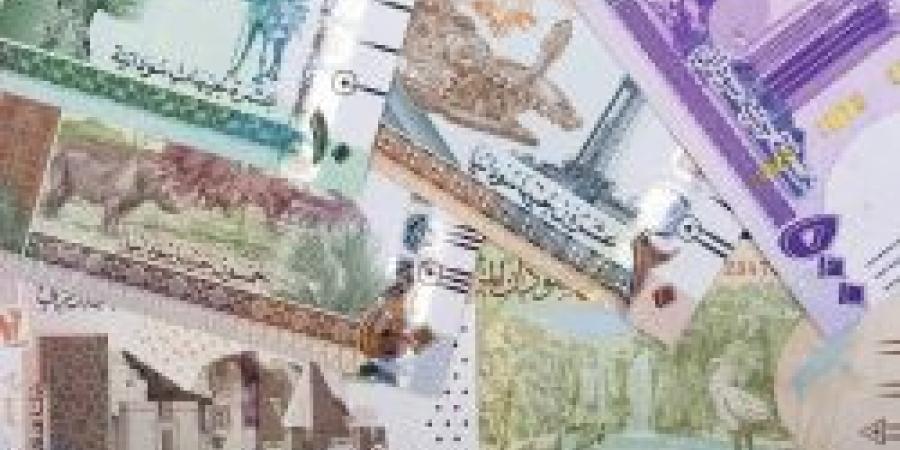 سعر الجنيه السوداني مقابل الريال السعودي اليوم الثلاثاء 3 ديسمبر 2024 .. هل انخفض بالفعل ؟ - الخبر الان