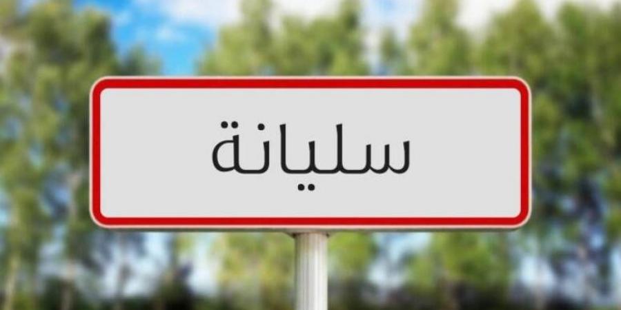 سليانة: توسع انتشار الحشرة القرمزية وتواصل المجهوداتها للتوقي منها - الخبر الان