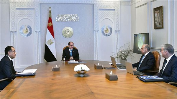 السيسي يوجه بإجراء متابعة دقيقة لجميع تفاصيل مشروع الربط الكهربائي مع السعودية