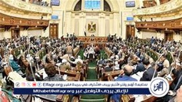 هل تفرض مصر رسومًا إضافية على اللاجئين؟ مشروع قانون جديد يجيب