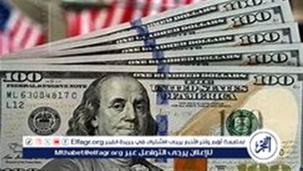 سعر الدولار اليوم السبت 23 نوفمبر 2024: استقرار بعد ارتفاع قياسي