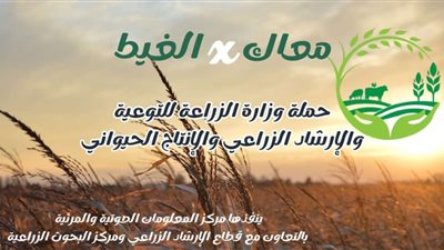 الحفاظ على الرقعة الزراعية