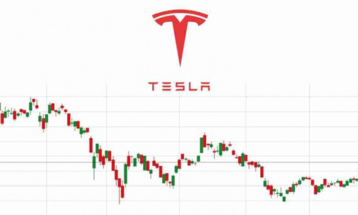 سهم تسلا ينخفض بنحو 6.15%
