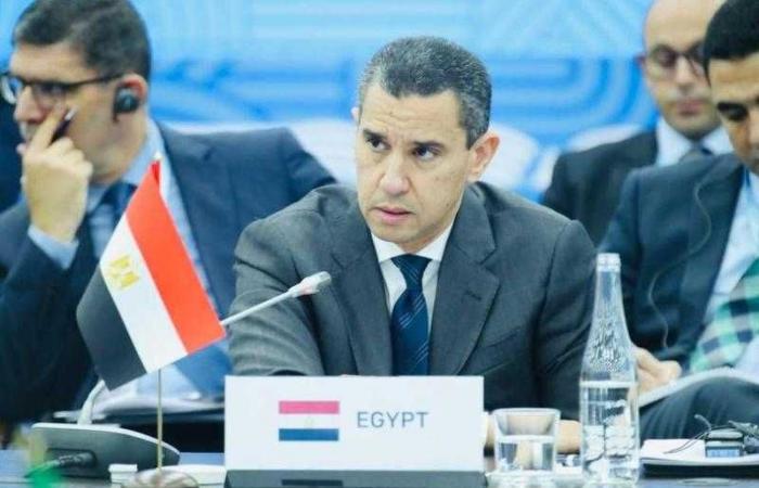 الممثل الشخصى للرئيس السيسى يرأس وفد مصر للاعداد لقمة العشرين فى البرازيل