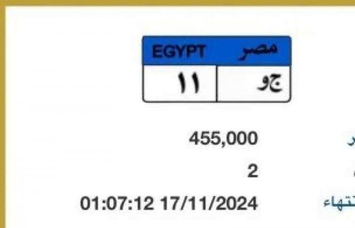 لأعلى سعر.. المرور تطرح لوحة معدنية برقم مميز للبيع