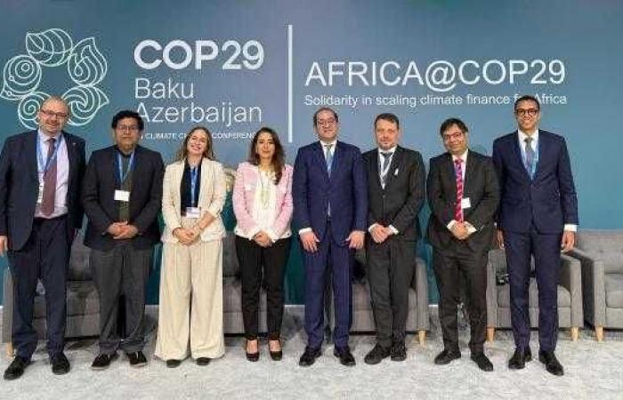 وزير المالية يدعو لتضافر الجهود الدولية في التمويل المناخي بمؤتمر COP29