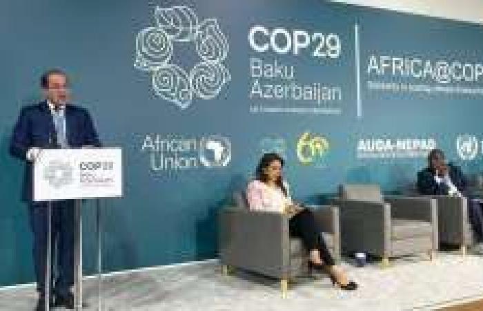 وزير المالية يدعو لتضافر الجهود الدولية في التمويل المناخي بمؤتمر COP29