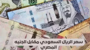 تراجع في سعر الريال السعودي اليوم الأحد 5 يناير 2025 مقابل الجنيه المصري في مختلف البنوك المحلية