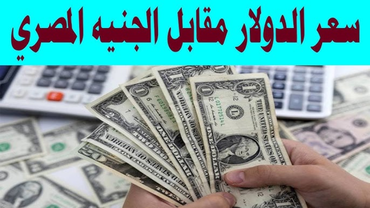 “ببداية التعاملات” سعر الدولار مقابل الجنيه المصري اليوم الأحد 29 ديسمبر 2024 في مختلف البنوك المحلية