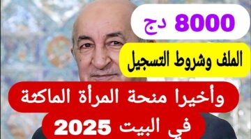 التسجيل في منحة المرأة الماكثة في البيت 2025 عبر الوكالة الوطنية والمستندات المطلوبة للتسجيل