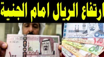 سعر الريال السعودي اليوم مقابل الجنيه المصري الأحد بتاريخ 29/12/2024 في جميع البنوك المصرية