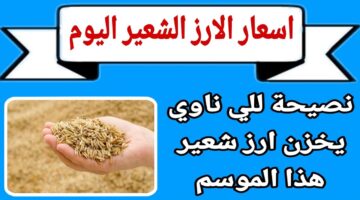 سعر طن الأرز الشعير اليوم الجمعة 27 ديسمبر 2024 المعلنة من شعبة الأرز وأسعار السلع الأساسية