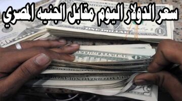 سعر الدولار اليوم مقابل الجنيه المصرى الخميس 2 يناير 2025 في مختلف البنوك المحلية