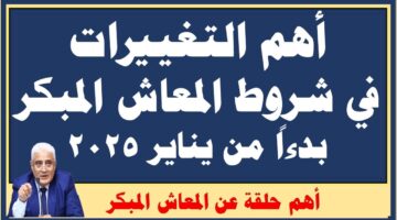 رسيما.. الهيئة القومية تعُلن شروط المعاش المبكر 2025 للعاملين وكيفية الاستعلام عن المعاشات عبر .nosi.gov.eg