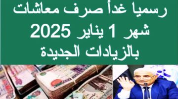 موعد صرف المعاشات شهر يناير 2025.. الهيئة القومية للتأمين الاجتماعي توضح تفاصيل الزيادة وأماكن الصرف