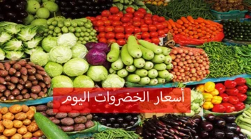 اسعار الخضار اليوم بالكيلو الثلاثاء 24/12/2024 داخل كافة الأسواق التجارية للمستهلك