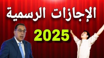 الإجازات الرسمية 2025 في مصر وأجمل عبارات التهنئة بمناسبة العام الميلادي الجديد