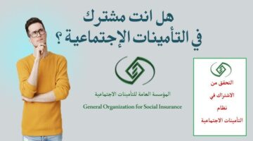 خطوات الاستعلام عن اشتراك التأمينات الاجتماعية من خلال الرابط gosi.gov.sa