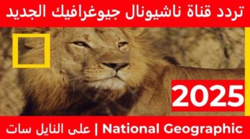 تردد قناة ناشيونال جيوغرافيك 2025 وتابع البرامج الوثائقية حول الحياة البرية