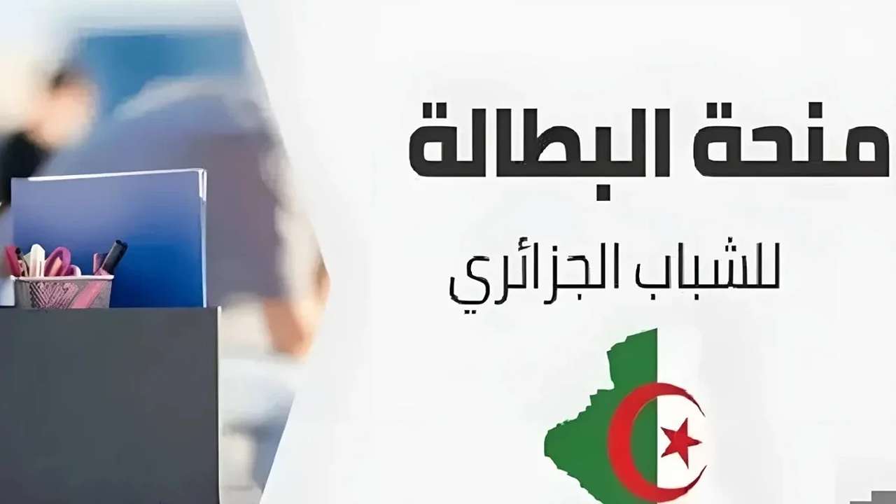 رابط تجديد منحة البطالة بالجزائر 2025 عبر الموقع الرسمي للوكالة الوطنية للتشغيل