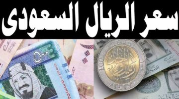 سعر الريال السعودى مقابل الجنيه المصري اليوم الجمعة الموافقة 27 ديسمبر 2024 وفقا لأخر تحديث