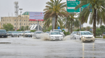 صقيع وبرودة شديدة.. حالة الطقس اليوم الثلاثاء 31-12-2024 في السعودية