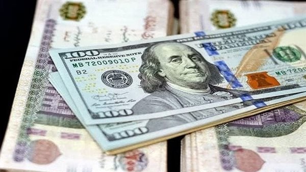 آخر تحديث لـ سعر الدولار مقابل الجنيه المصري الأحد 29-12-2024