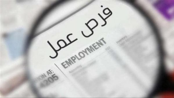 عاجل.. براتب 6 آلاف جنيه.. وزارة العمل تعلن توفر فرص عمل جديدة للشباب – صحيفة الخبر