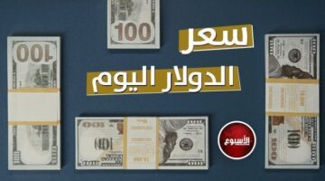 تطور جديد.. سعر الدولار في مصر اليوم الأربعاء 8-1-2025 – صحيفة الخبر