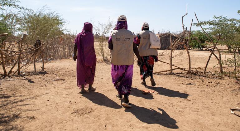 الأمم المتحدة: قلق إزاء تدهور الأمن الغذائي في السودان بعد الإعلان عن تفشي المجاعة في خمس مناطق