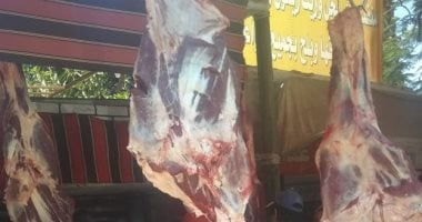 وزارة الزراعة تطرح اللحوم البلدى بـ250 جنيها للكيلو جرام – صحيفة الخبر