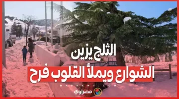 الثلج يزين الشوارع ويملأ القلوب فرح – صحيفة الخبر