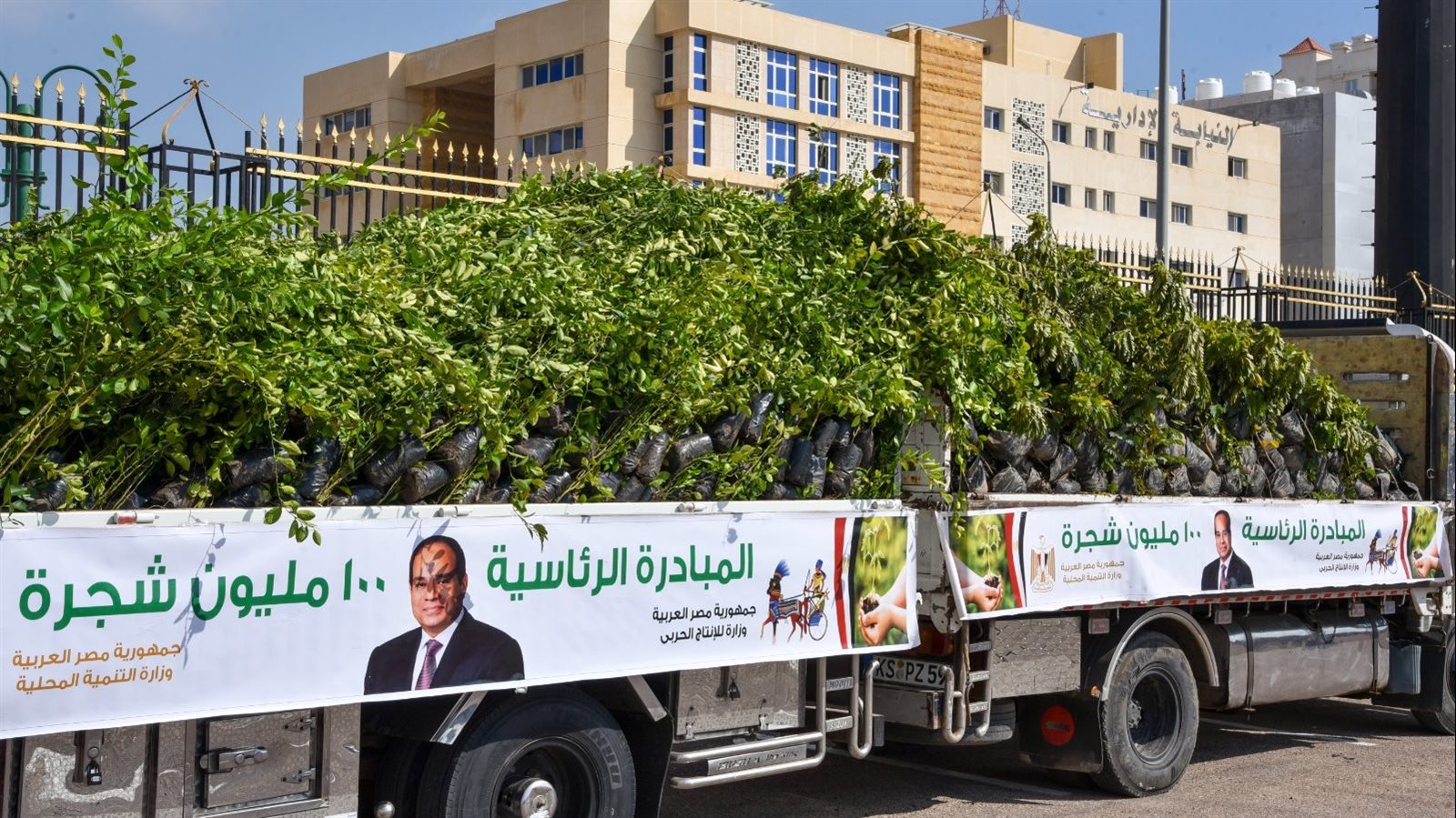 3 محافظات تبدأ تشجير «الدائري».. وهذه هي الأشجار المزروعة – صحيفة الخبر