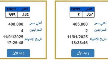 بـ500 ألف.. طرح لوحات معدنية مميزة