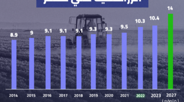 تطور حجم الرقعة الزراعية في مصر خلال 10 سنوات| إنفوجراف – صحيفة الخبر