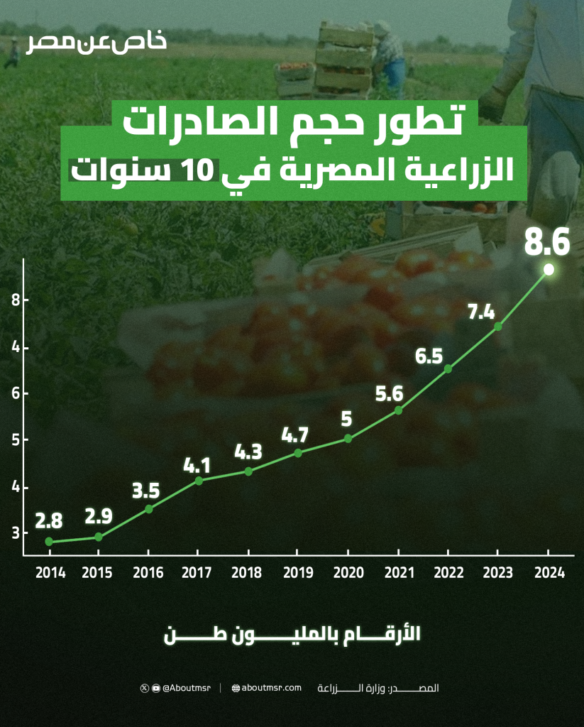 بالأرقام.. تطور حجم الصادرات الزراعية المصرية في 10 سنوات