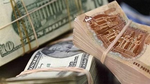 تحديث مباشر: سعر الدولار في مصر وفقًا للبنوك الحكومية والخاصة