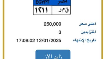 لوحة سيارة بأحرف “قمر” يصل سعرها لـ 250 ألف جنيه – صحيفة الخبر