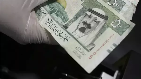 سعر الريال السعودي اليوم الأحد 29 ديسمبر 2024 في مصر