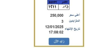 «ق م ر 1211».. لوحة سيارة مميزة وصل سعرها لربع مليون جنيه – صحيفة الخبر