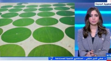 «استشاري تنمية»: الرئيس السيسي اتبع سياسة رشيدة في عملية استصلاح الأراضي – صحيفة الخبر