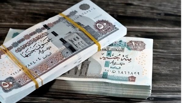 موعد صرف معاشات شهر فبراير 2025.. فاضل كام يوم؟ – صحيفة الخبر