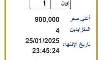 وصل سعرها إلى 900 ألف جنيه.. لوحة معدنية مميزة يتنافس عليها 4 أشخاص