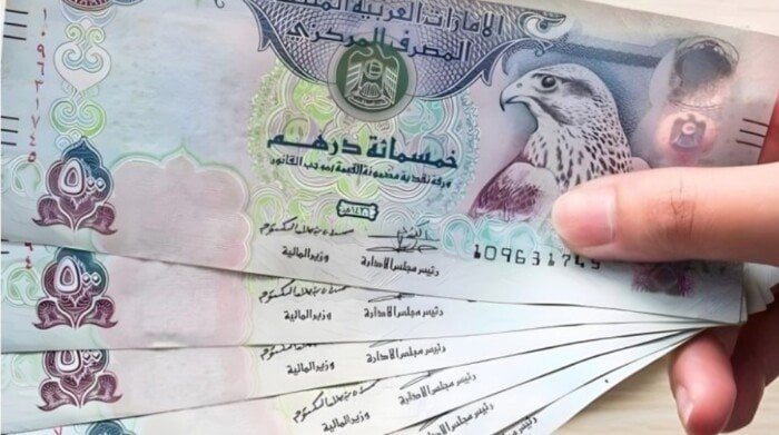 سعر الدرهم الإماراتي مقابل الجنيه اليوم السبت 11 يناير 2025 في البنوك.. وفقا لآخر تحديث – صحيفة الخبر