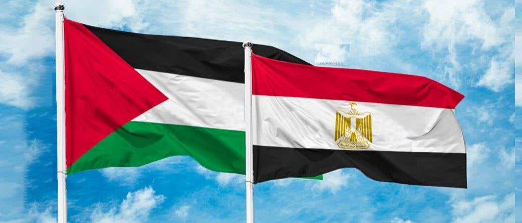 عضو «طاقة النواب»: التاريخ لن ينسى دور مصر في دعم القضية الفلسطينية